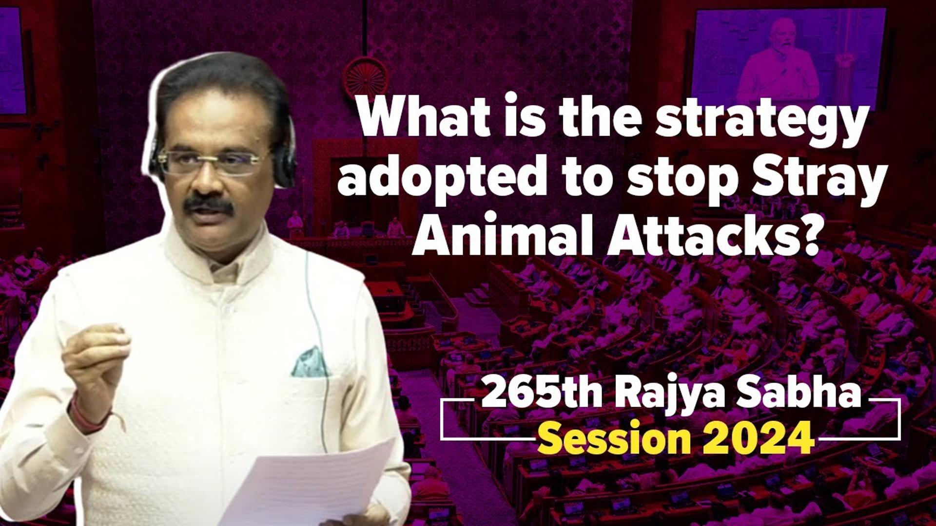 Dr. Ashok Kumaar Mittal Raises Concern Over Rising Number Of Stray Animal Attacks.